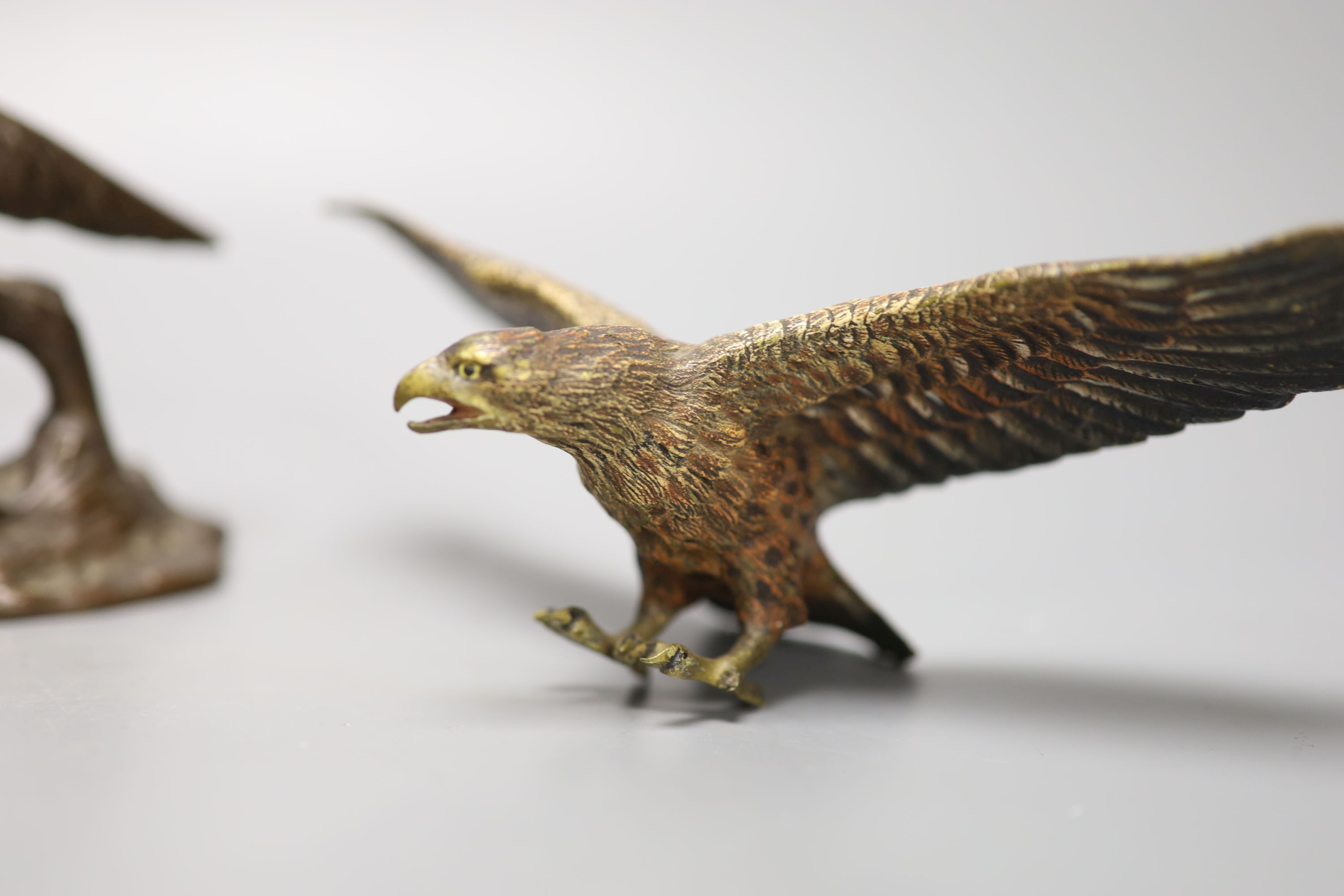 A bronze model of a setter, length 24cm, and a small cold-painted bronze figure of an eagle,